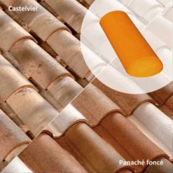 About D'arêtier Conique (453XG)