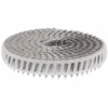 Clou Cranté 16° Inox A2 En Rouleau Haubold Cloueur RNC 2,5 X 50 Mm