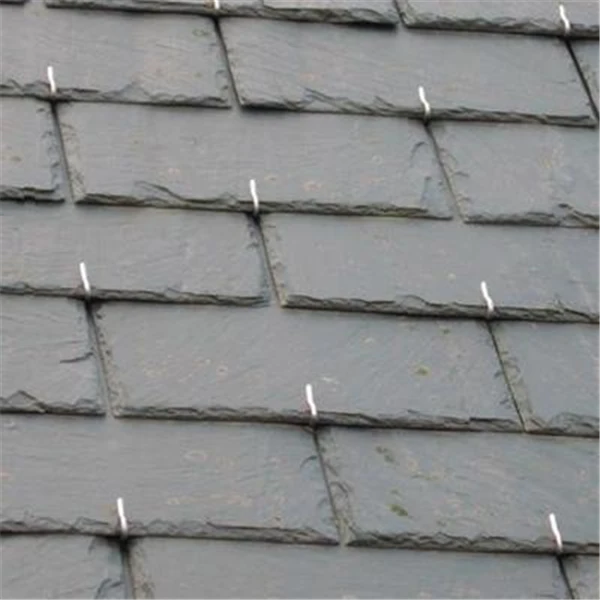 Crochet Fixation Ardoises Inox Talon 4 Mm Ø 2,7 Mm Longueur 9 Cm X500 3 Crochet Fixation Ardoises Inox Talon 4 Mm Ø 2,7 Mm Longueur 9 Cm X500 – Image 3