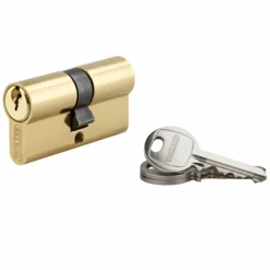 Cylindre De Serrure à Profil Européen Thirard Laiton - 30 X 30 Mm