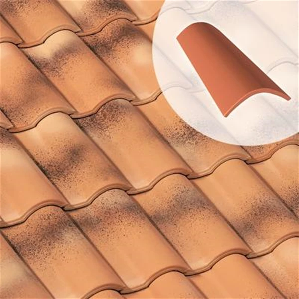 Faîteau Courbe 50 (AR139) 1 Faîteau Courbe 50 (AR139)