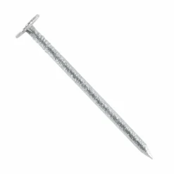 Pointe à Tête Extra-large Galvanisée - Ø 3 X 30 Mm - Boîte De 5 Kg 5 Pointe à Tête Extra-large Galvanisée - Ø 3 X 30 Mm - Boîte De 5 Kg -Meilleur Outillage Magasin pointe a tete extra large galvanisee boite de 5 kg