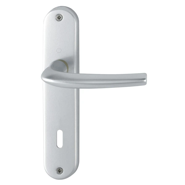 Poignée De Porte Clé En L SAN DIEGO Hoppe Alu Finition Argent 3537858 1 Poignée De Porte Clé En L SAN DIEGO Hoppe Alu Finition Argent 3537858