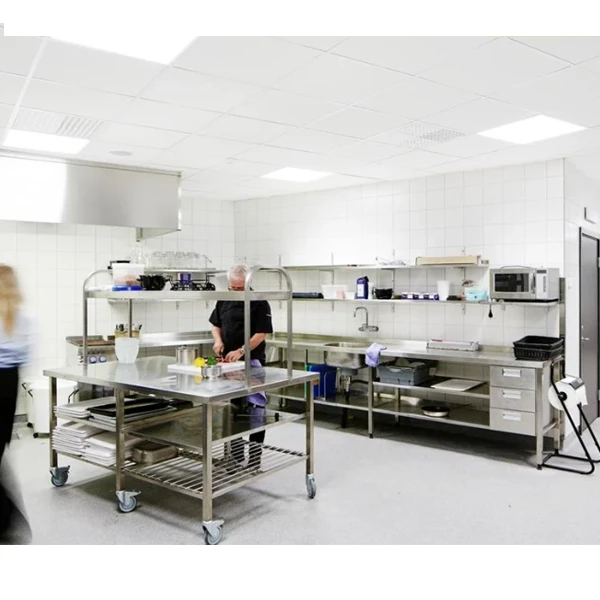 Dalle De Plafond Pour Locaux Humides - Ecophon Hygiène Performance A - 600 MM X 600 MM - ép.20 MM 1 Dalle De Plafond Pour Locaux Humides - Ecophon Hygiène Performance A - 600 MM X 600 MM - ép.20 MM