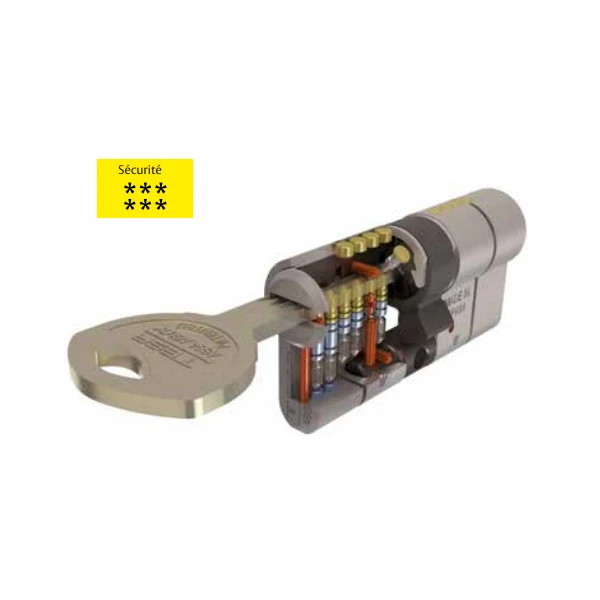 Cylindre Haute Sûreté Tesa T70 - Nickelé - 5 Clés - 40 X 50 Mm 2 Cylindre Haute Sûreté Tesa T70 - Nickelé - 5 Clés - 40 X 50 Mm – Image 2