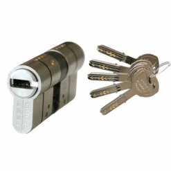 Cylindre Haute Sûreté Tesa T70 - Nickelé - 5 Clés - 40 X 50 Mm